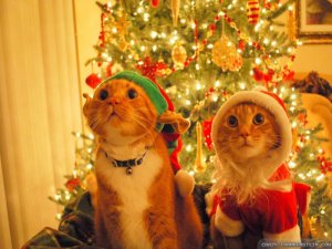 xmas2.jpg