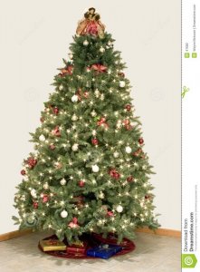 christmas-tree-star-effect-47682.jpg