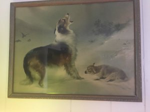 thumbnail_IMG_5535.jpg