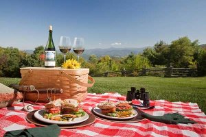 picnic multi.jpg
