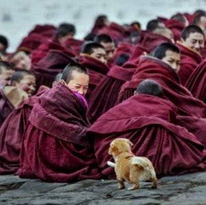 When a Picture Says More Than a Thousand Words_1.jpg