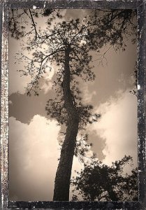 il_570xN.1833143849_4pha.jpg