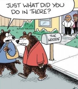 funnyone2.jpg