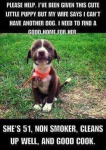 funnyone5.jpg