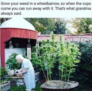 z-funny-151-2.jpg