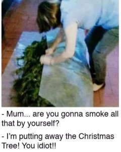 Christmaspot.jpg