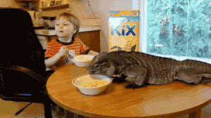 source (1).gif source (1).gif