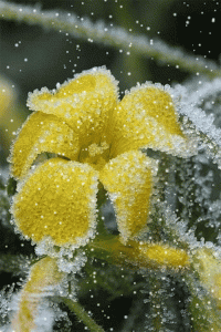 11877754.gif