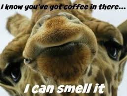 coffeesmell.jpg