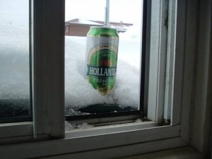Beer.jpg