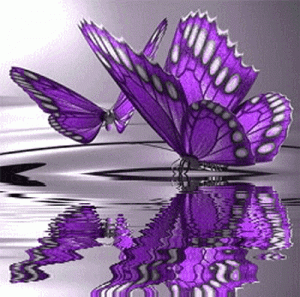 52E09645-B515-49D6-BD16-36F858BAF21C.gif