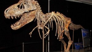 Dinosaur-Dispute-Arrest-3-1.jpg