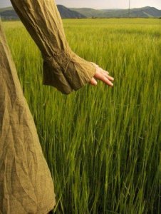 green grass.jpg