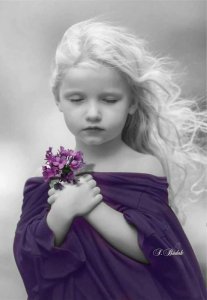 purple c.jpg