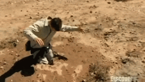 6a00e5514d9da6883401b7c8e985c6970b-800wi.gif