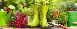 growing-gardens-nonprofit-boots-and-garden-tools-2.gif