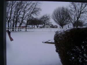 DSC06144.JPG