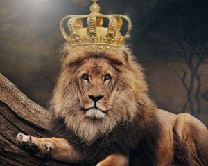 Lion+Crown.jpg