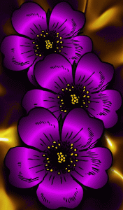 642b4c1a26627c13c91ddaba3001d4e5.gif