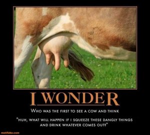 m-m-m-m-m-m-squeeeeeze-cheeeeese-inquisitive-findings-demotivational-posters-1379868668.jpg