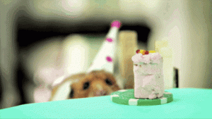 happy bday.gif