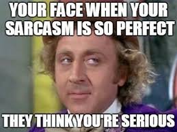 Image result for sarcasm meme