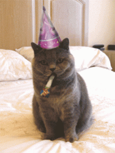 cat birthday.gif