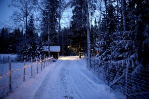 winter-4687676_960_720.jpg