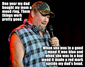 1796787964-larry-the-cable-guy-580x455.jpg