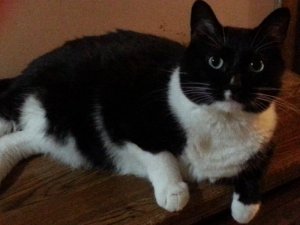 20180704_205220.jpg