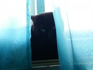 20131107_044810.jpg
