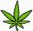 pot leave.jpg