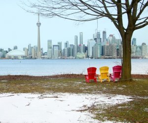 toronto winter.jpg