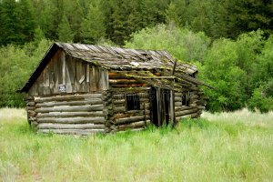 cabin.jpg