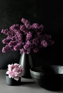 tumblr_nczsf331Qa1s84t6ho1_500.jpg