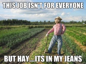 strawman.jpg strawman.jpg