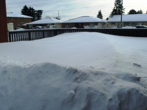 snow.jpg