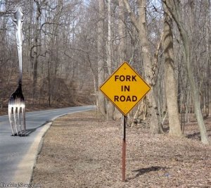 Fork-in-road.jpg