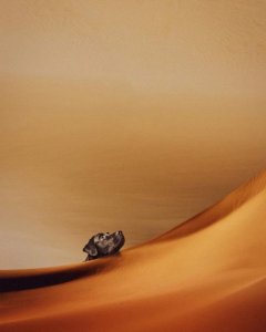 82355783_2226073647496356_3815270052341481472_o.jpg