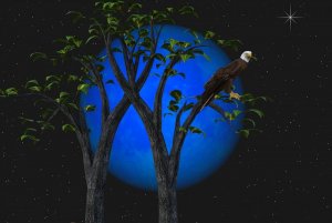 fantasy-4684844_960_720.jpg