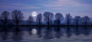 full-moon-4593195_960_720.jpg