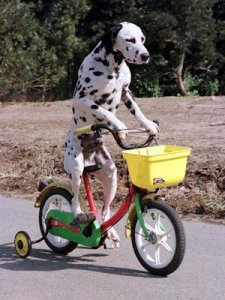 Biking @.jpg