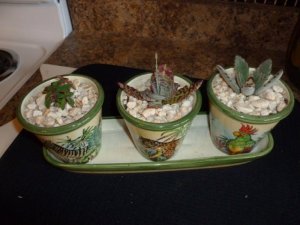 3 plants (1024x768).jpg