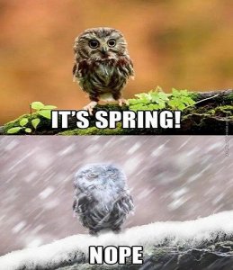 spring.jpg