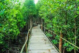 path.jpg path.jpg