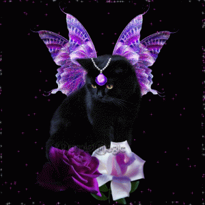 1298900159_black-cat-butterfly-glitter.gif