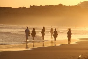 beach-3936382_960_720.jpg