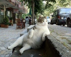 Relaxing @.jpg