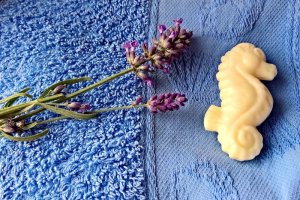 lavender-4503300_960_720.jpg