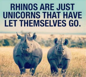 fatunicorn.jpg